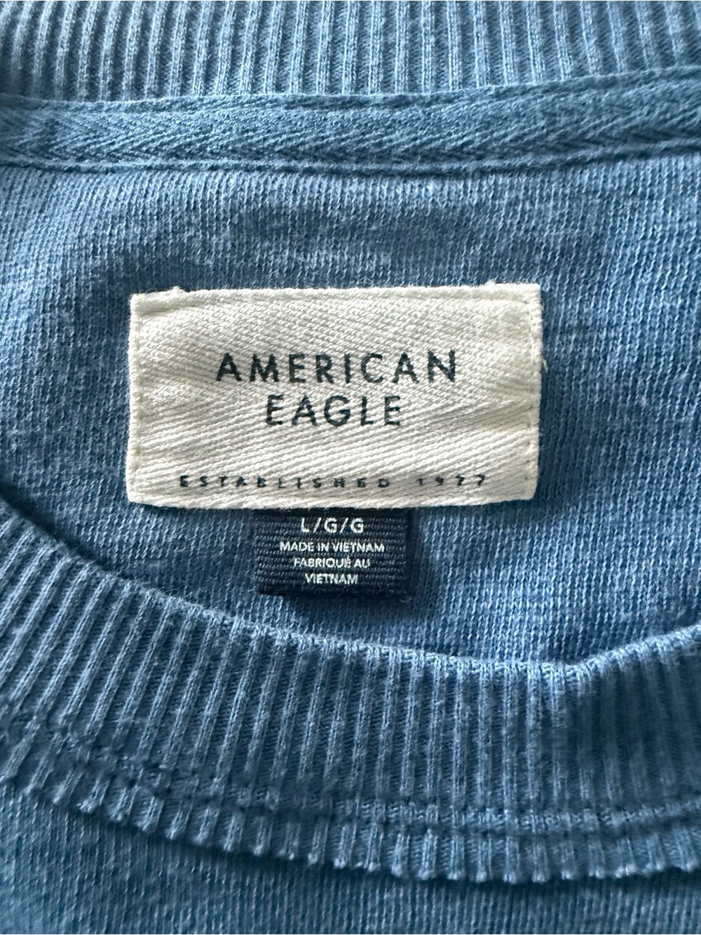 American Eagle Graphic Crewneck Sweatshirt Blue Green Logo L - Picture 2 of 3
